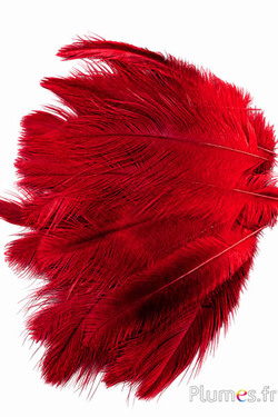 Kraanvogel - 10-14 cm - rood-grijs